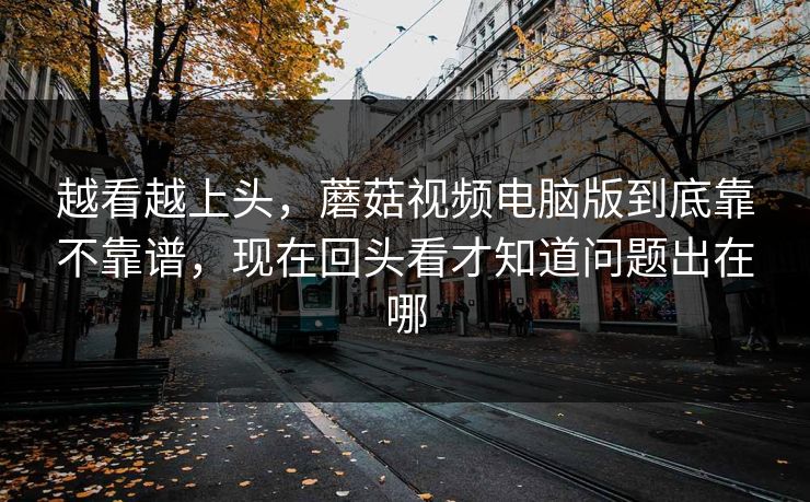 越看越上头，蘑菇视频电脑版到底靠不靠谱，现在回头看才知道问题出在哪
