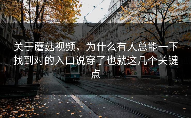 关于蘑菇视频，为什么有人总能一下找到对的入口说穿了也就这几个关键点