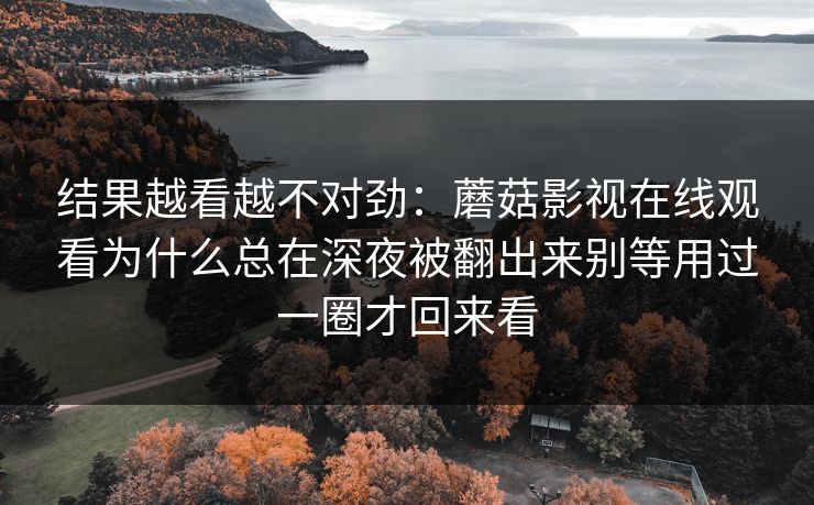 结果越看越不对劲：蘑菇影视在线观看为什么总在深夜被翻出来别等用过一圈才回来看