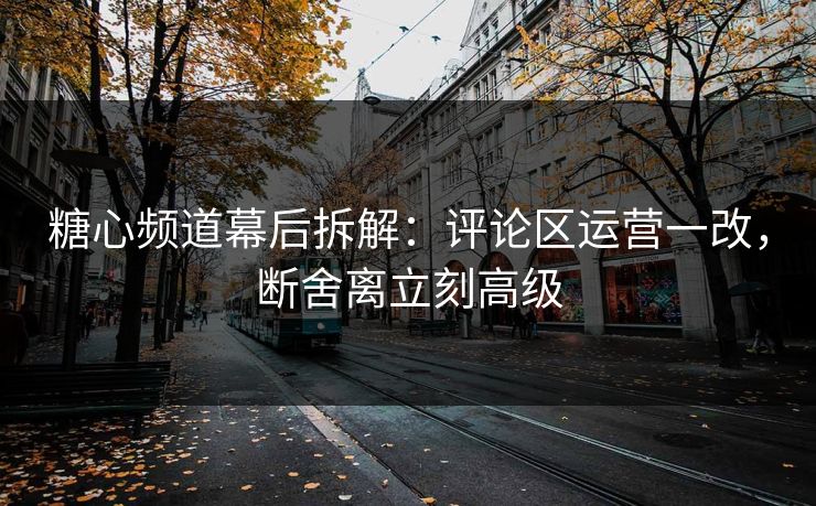 糖心频道幕后拆解：评论区运营一改，断舍离立刻高级