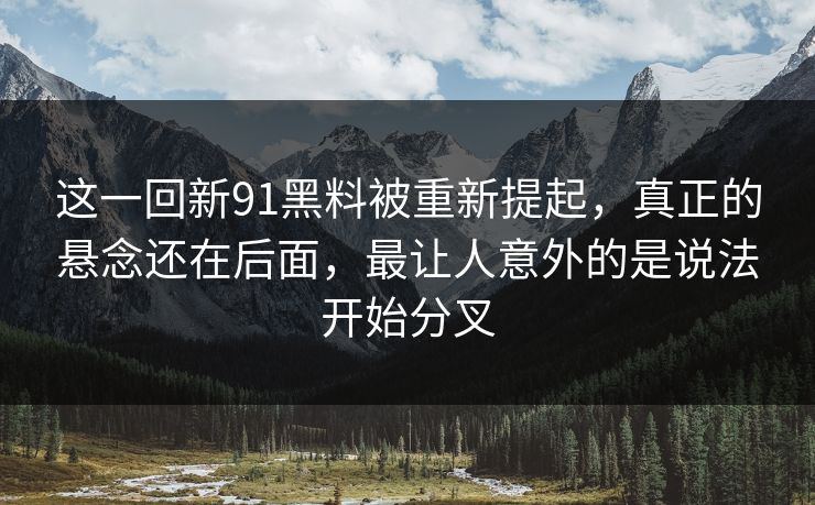 这一回新91黑料被重新提起，真正的悬念还在后面，最让人意外的是说法开始分叉