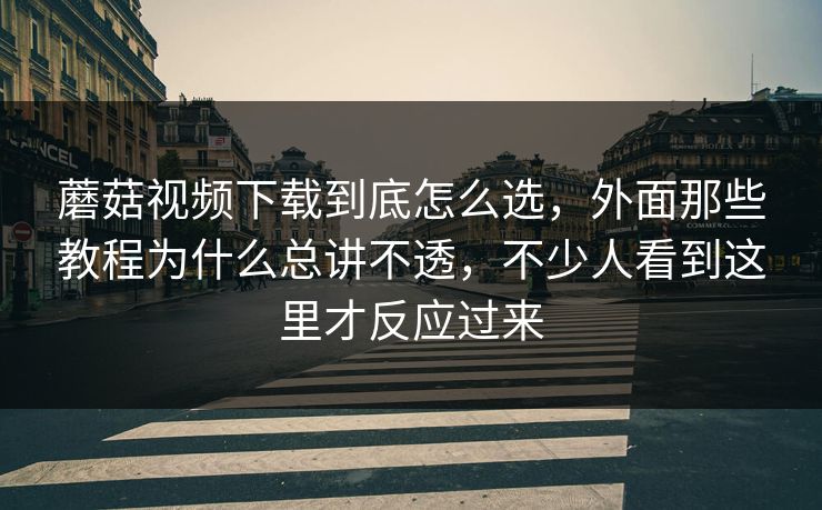 蘑菇视频下载到底怎么选，外面那些教程为什么总讲不透，不少人看到这里才反应过来