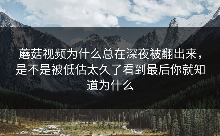 蘑菇视频为什么总在深夜被翻出来，是不是被低估太久了看到最后你就知道为什么