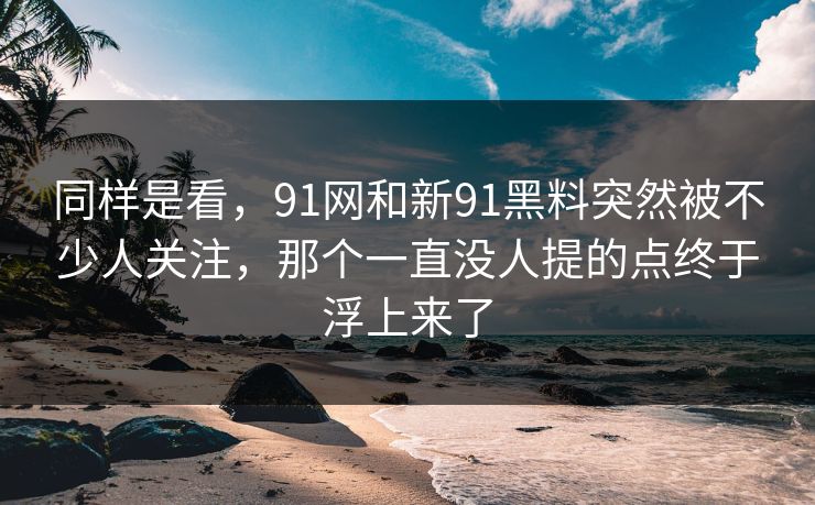 同样是看，91网和新91黑料突然被不少人关注，那个一直没人提的点终于浮上来了