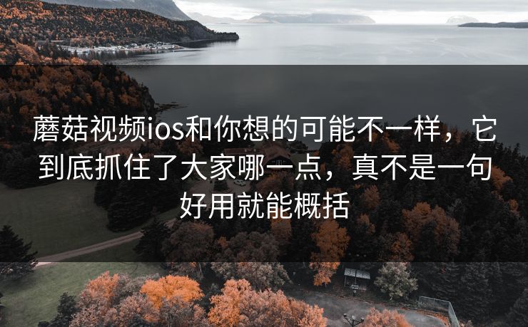 蘑菇视频ios和你想的可能不一样，它到底抓住了大家哪一点，真不是一句好用就能概括
