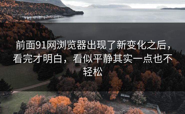 前面91网浏览器出现了新变化之后，看完才明白，看似平静其实一点也不轻松